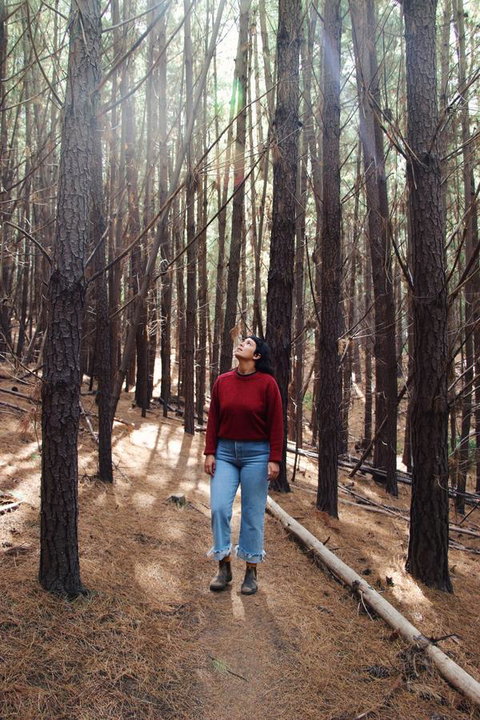 Lost In The Vines - Hervey Bay Accommodation 19