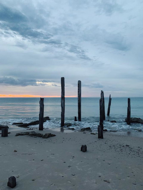 Lost In The Vines - Hervey Bay Accommodation 18