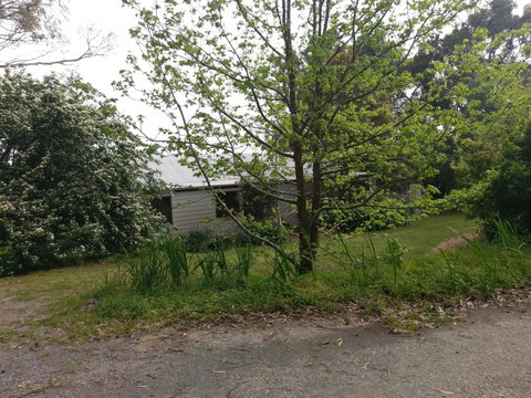 Lost In The Vines - Hervey Bay Accommodation 24