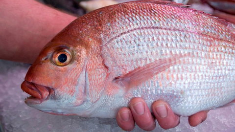 Mollymook Beach Waterfront - Hervey Bay Accommodation 16