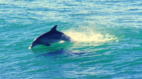 Mollymook Beach Waterfront - Hervey Bay Accommodation 22