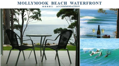 Mollymook Beach Waterfront - Hervey Bay Accommodation 1