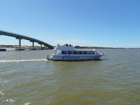 Baronet B & B - Tourism Hervey Bay 28