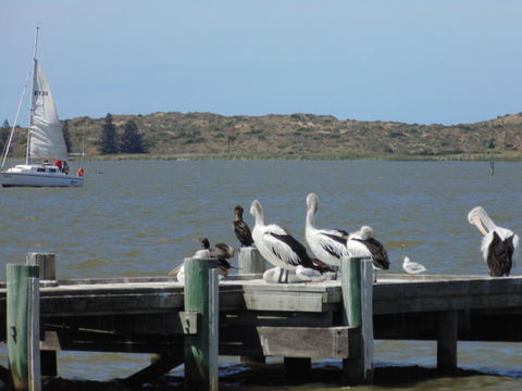 Baronet B & B - Tourism Hervey Bay 20