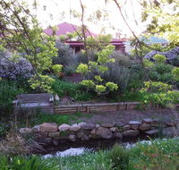 Frog Song at Willunga - Tourism Hervey Bay