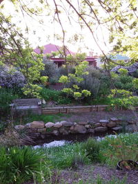 Book Willunga Accommodation Vacations Hervey Bay Accommodation Hervey Bay Accommodation