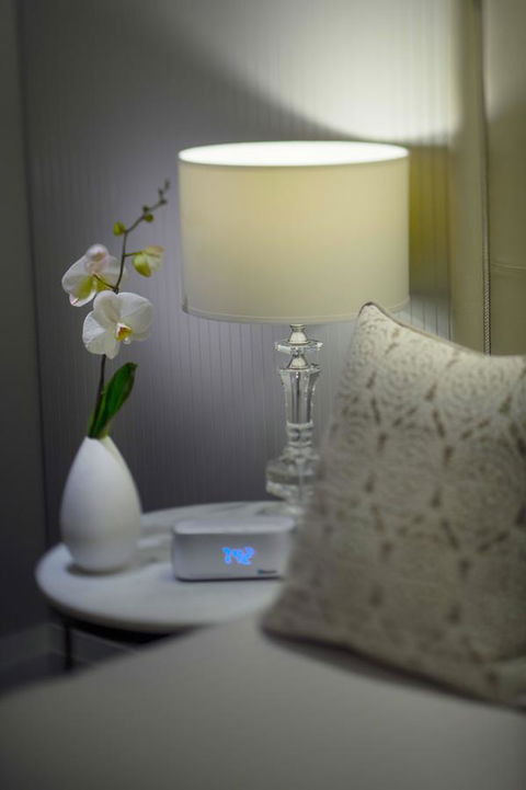 Mayfair Hotel - Tourism Hervey Bay 13