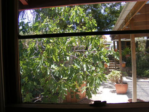 Trevalia Accommodation - Tourism Hervey Bay 4
