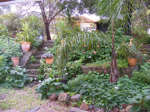 Trevalia Accommodation - Tourism Hervey Bay 12