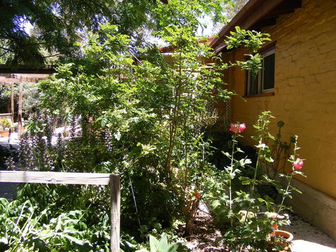 Trevalia Accommodation - Tourism Hervey Bay 7