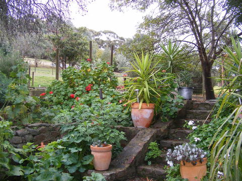 Trevalia Accommodation - Tourism Hervey Bay 13