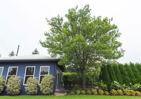 S T U D I O 22 Peaceful Retreat With Garden Views - Tourism Hervey Bay 11