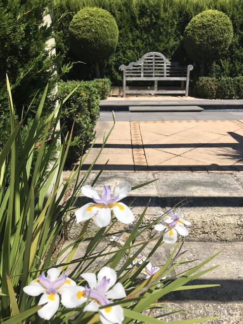 S T U D I O 22 Peaceful Retreat With Garden Views - Tourism Hervey Bay 13