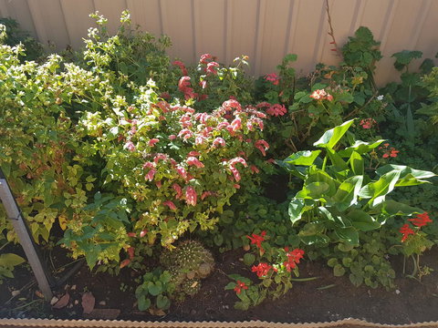 Tanunda\'s Magpie House - Hervey Bay Accommodation 24
