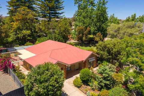 Tanunda\'s Magpie House - Hervey Bay Accommodation 1
