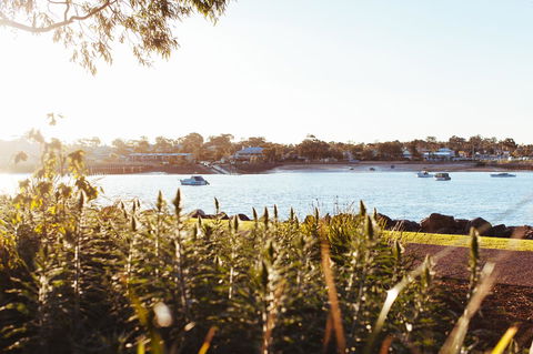 Majestic Oasis Apartments - Hervey Bay Accommodation 4