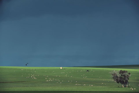 Boutique Getaway On Wright - Hervey Bay Accommodation 29