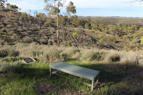 Molly's Chase - Tourism Hervey Bay 31