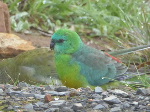 Molly's Chase - Tourism Hervey Bay 15