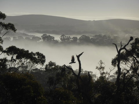 Molly's Chase - Tourism Hervey Bay 28