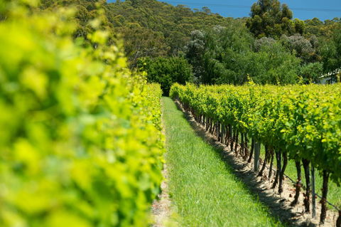 The Other House - Tourism Hervey Bay 2