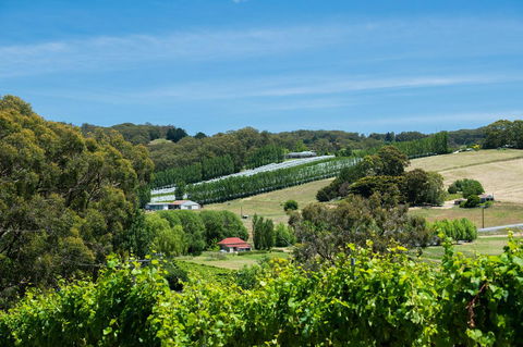 The Other House - Tourism Hervey Bay 3