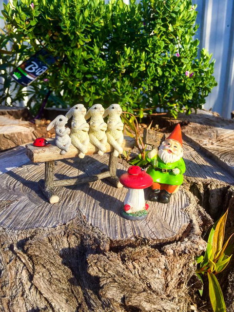 Inglenook Cottage - Hervey Bay Accommodation 34