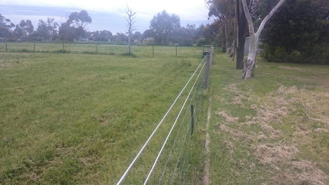 Gaerwood B&B - Tourism Hervey Bay 17