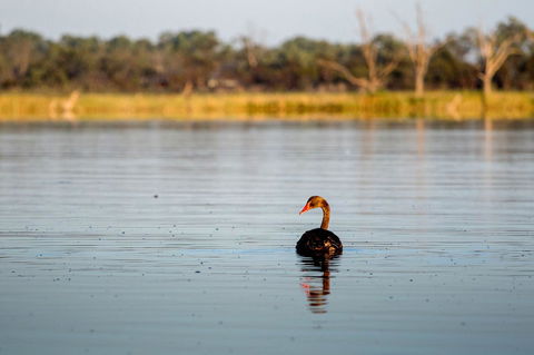 Discovery Parks - Lake Bonney - Tourism Hervey Bay 36