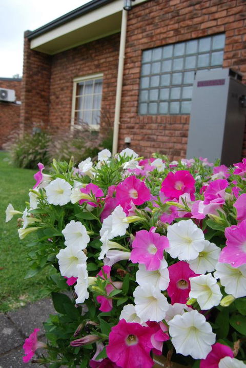 Arkana Motor Inn & Terrace Apartments - Tourism Hervey Bay 40