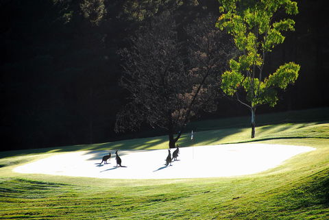 SkyView Villa - Tourism Hervey Bay 3