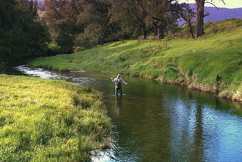 SkyView Villa - Tourism Hervey Bay 17