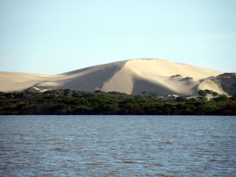 Coorong Waterfront Retreat - Tourism Hervey Bay 27