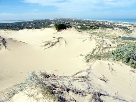 Coorong Waterfront Retreat - Tourism Hervey Bay 32
