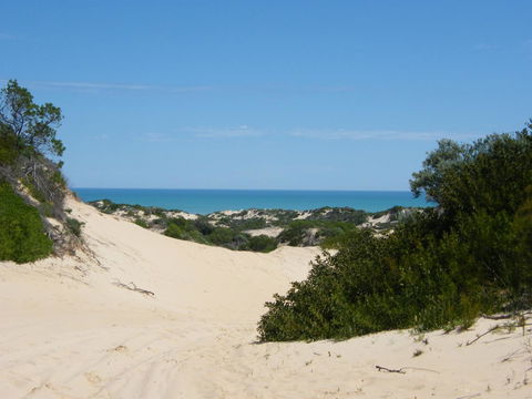 Coorong Waterfront Retreat - Tourism Hervey Bay 23