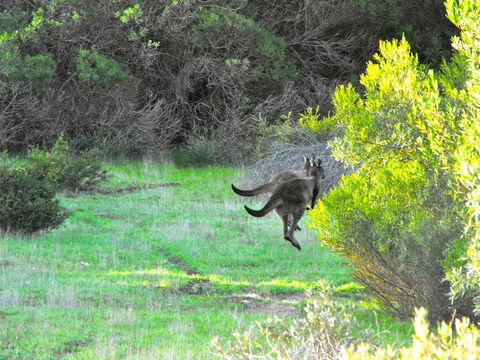 A Dune Escape - Tourism Hervey Bay 25