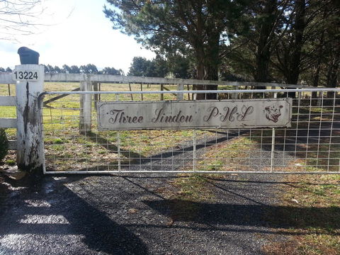 Three Linden - Tourism Hervey Bay 6