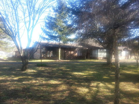 Three Linden - Tourism Hervey Bay 5