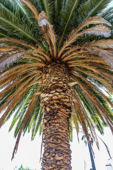 Rivergum Cottages Gawler Barossa Region - Hervey Bay Accommodation 27