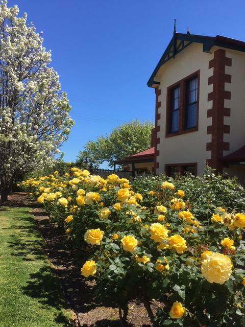 Wine And Roses Bed And Breakfast - Tourism Hervey Bay 5