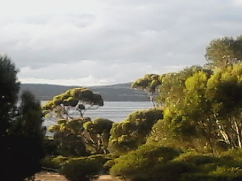 Mallee Bark Retreat - Hervey Bay Accommodation 11