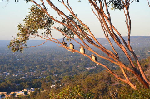 Kingsview Belair, Apartment Grand Views Of Adelaide - Hervey Bay Accommodation 1