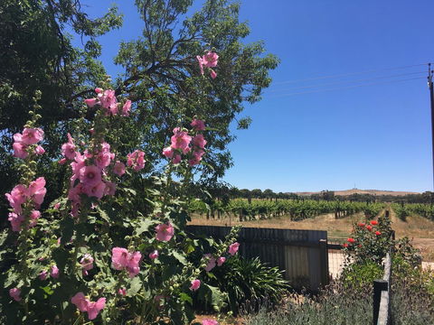 Amy\'s House Bed & Breakfast - Tourism Hervey Bay 29