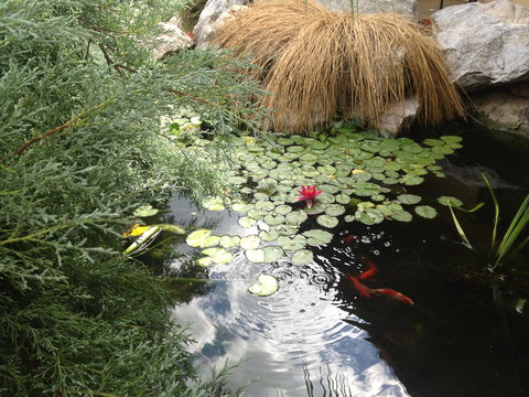 Ten Dollar Town Motel - Hervey Bay Accommodation 16