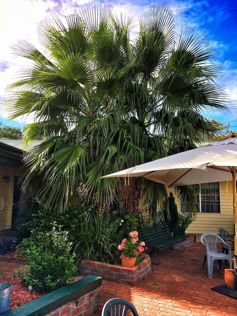 Ten Dollar Town Motel - Hervey Bay Accommodation 17