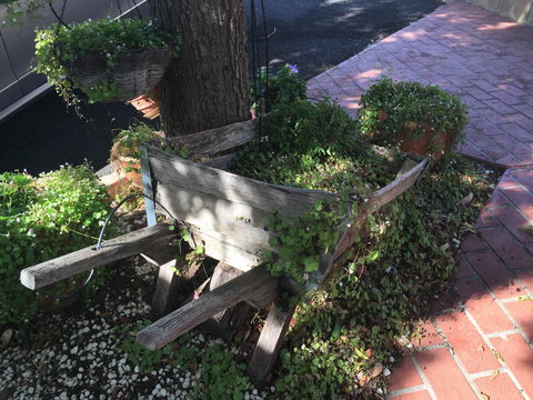 Ten Dollar Town Motel - Hervey Bay Accommodation 25