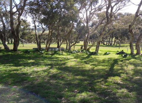 Wenton Farm Holiday Cottages - Hervey Bay Accommodation 1