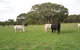 Wenton Farm Holiday Cottages - thumb 17