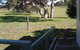 Wenton Farm Holiday Cottages - thumb 16