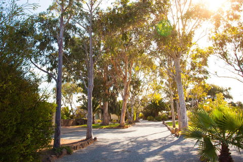 Modra\'s Apartments - Tourism Hervey Bay 0